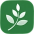 Lavira — Natural Remedies Journal